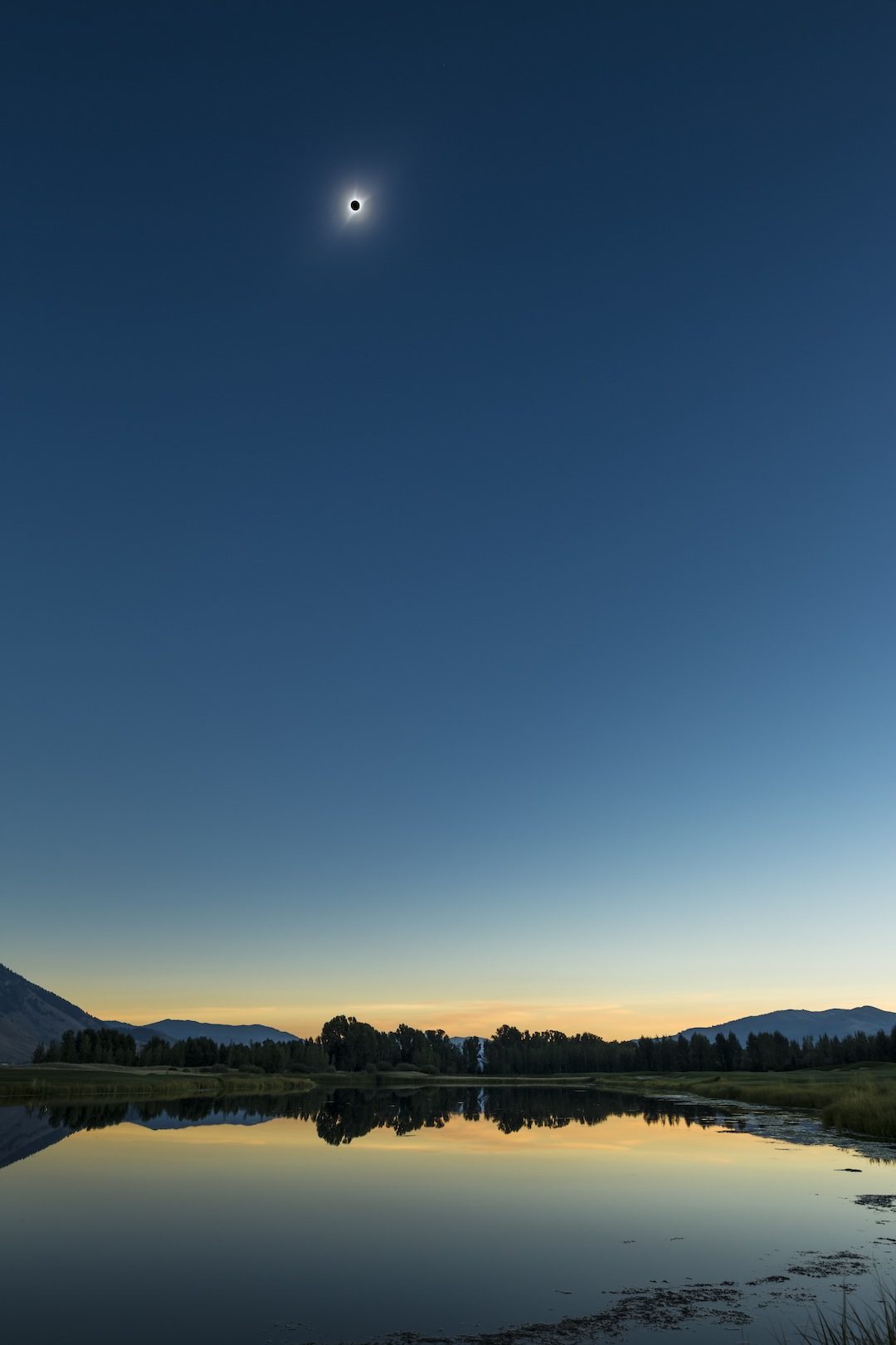 Jackson Totality