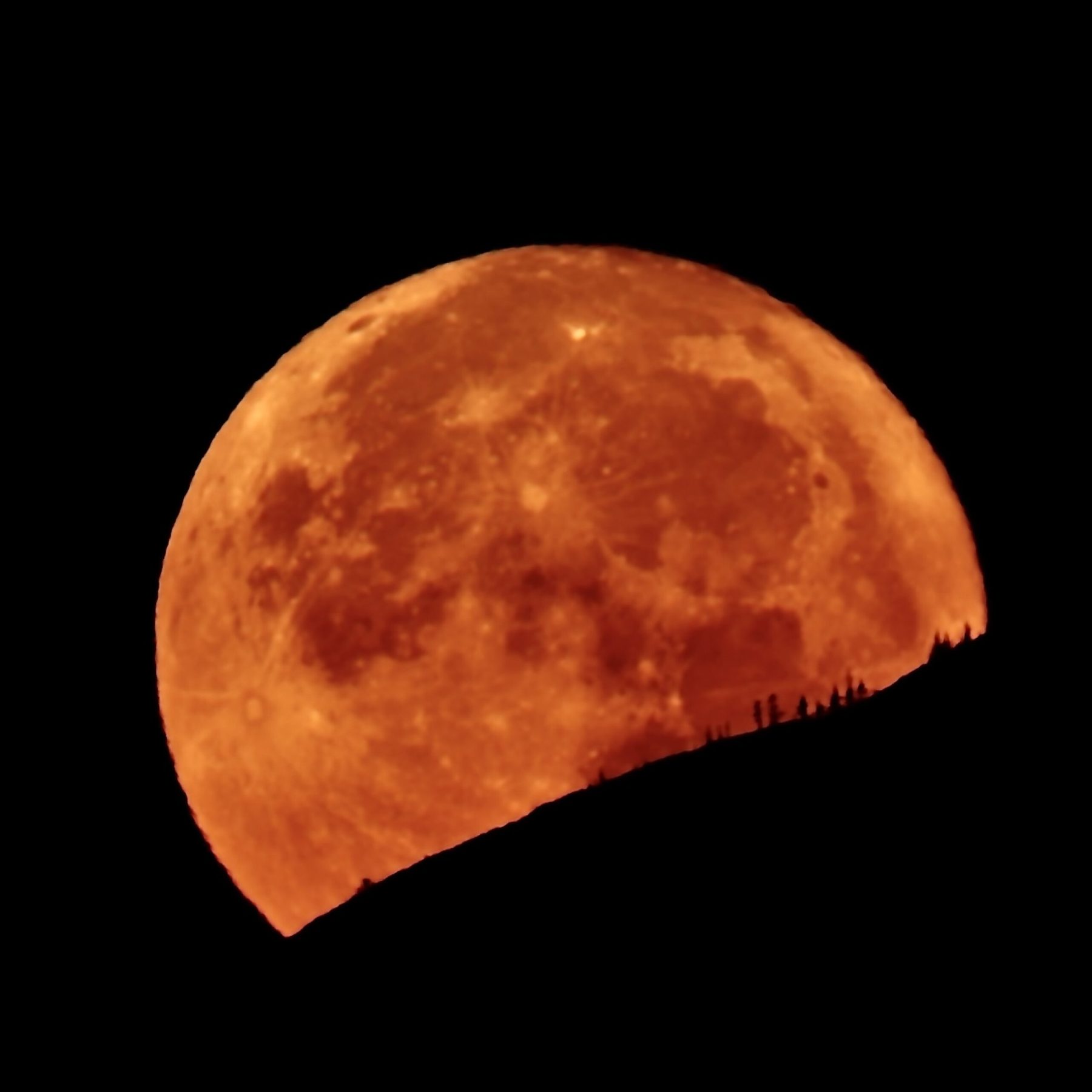 Moonrise