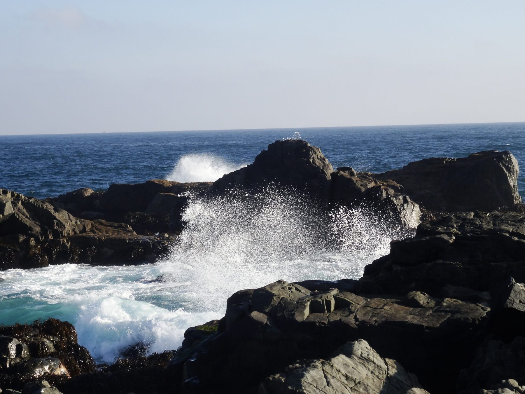Coast Chile