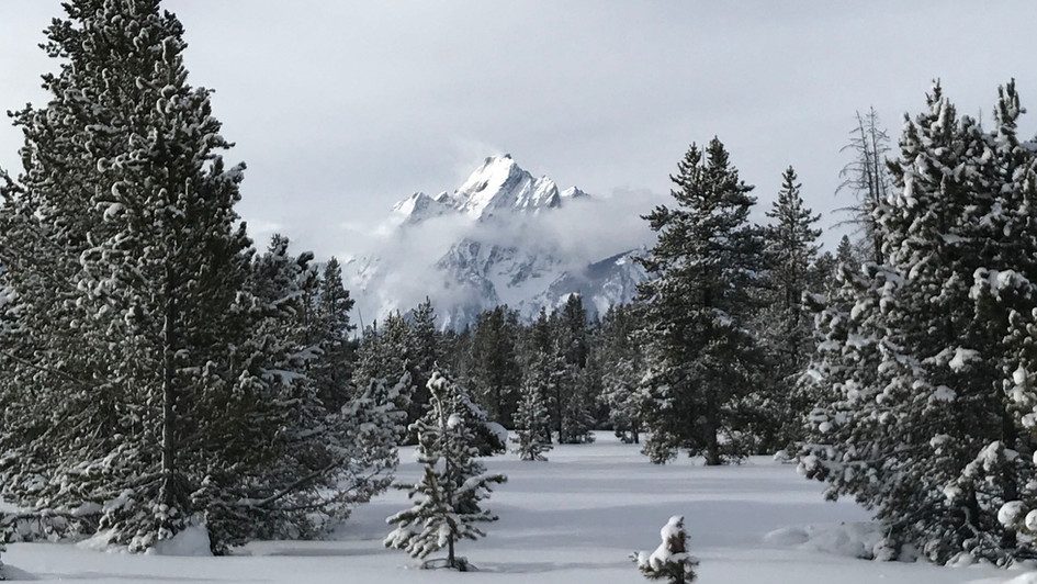Winter Wonderland